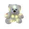 다채로운 0.25M 9.84ft LED 견면 벨벳 장난감 큰 백색 곰 박제 동물성 SGS