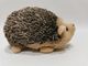 재활용된 재료로 만든 17cm 6.69in 장난감 무지개 고슴도치 박제 동물